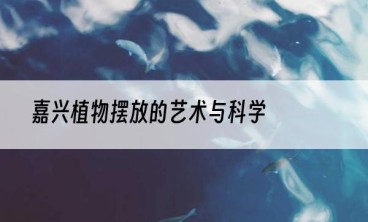 嘉兴植物摆放的艺术与科学