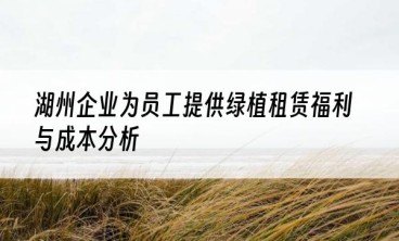 湖州企业为员工提供绿植租赁福利与成本分析