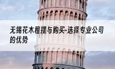 无锡花木租摆与购买-选择专业公司的优势