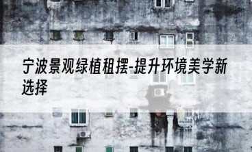 宁波景观绿植租摆-提升环境美学新选择