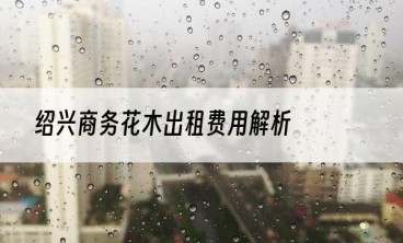 绍兴商务花木出租费用解析