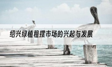 绍兴绿植租摆市场的兴起与发展