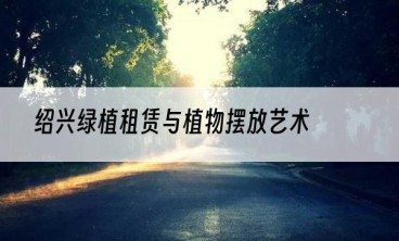 绍兴绿植租赁与植物摆放艺术