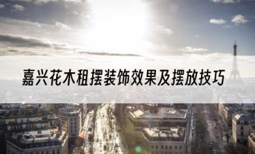 嘉兴花木租摆装饰效果及摆放技巧