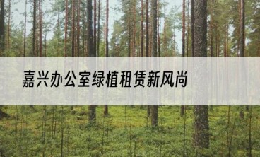 嘉兴办公室绿植租赁新风尚