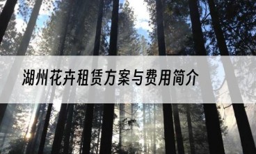 湖州花卉租赁方案与费用简介