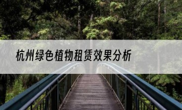 杭州绿色植物租赁效果分析