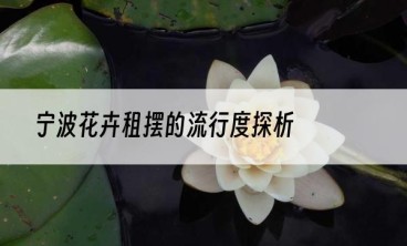 宁波花卉租摆的流行度探析