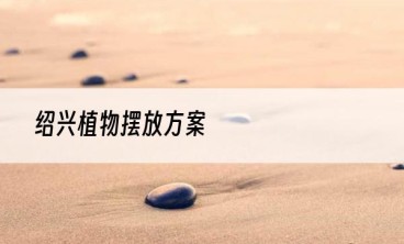 绍兴植物摆放方案