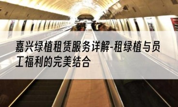 嘉兴绿植租赁服务详解-租绿植与员工福利的完美结合