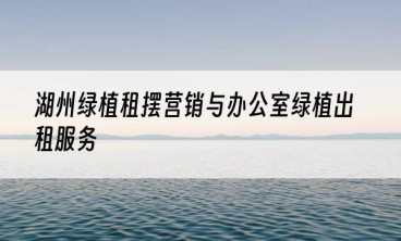 湖州绿植租摆营销与办公室绿植出租服务