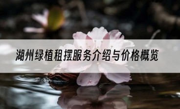 湖州绿植租摆服务介绍与价格概览