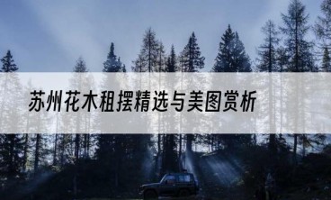 苏州花木租摆精选与美图赏析