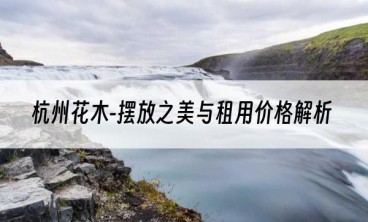 杭州花木-摆放之美与租用价格解析