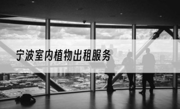 宁波室内植物出租服务