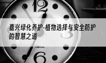 嘉兴绿化养护-植物选择与安全防护的智慧之道