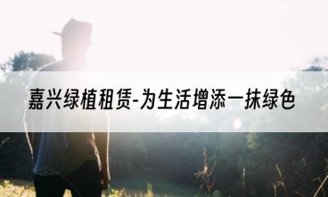 嘉兴绿植租赁-为生活增添一抹绿色