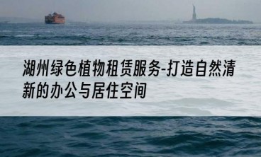 湖州绿色植物租赁服务-打造自然清新的办公与居住空间