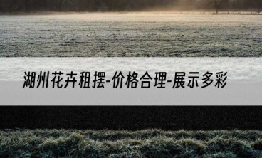 湖州花卉租摆-价格合理-展示多彩