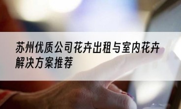 苏州优质公司花卉出租与室内花卉解决方案推荐