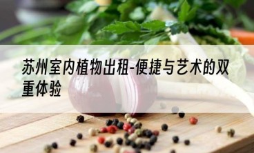 苏州室内植物出租-便捷与艺术的双重体验