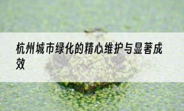 杭州城市绿化的精心维护与显著成效