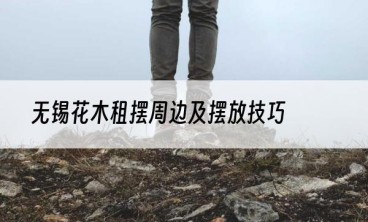 无锡花木租摆周边及摆放技巧