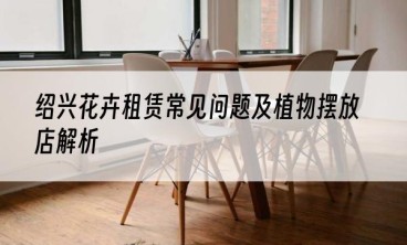 绍兴花卉租赁常见问题及植物摆放店解析