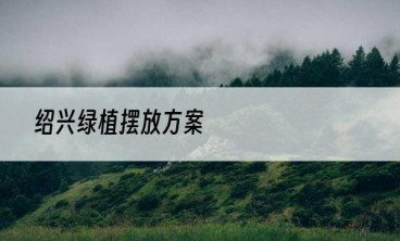 绍兴绿植摆放方案