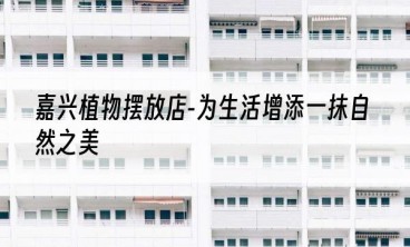 嘉兴植物摆放店-为生活增添一抹自然之美