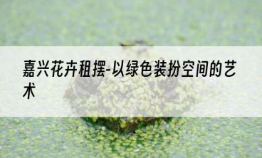 嘉兴花卉租摆-以绿色装扮空间的艺术