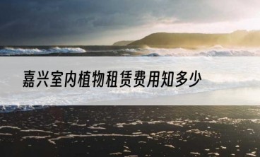嘉兴室内植物租赁费用知多少