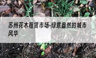 苏州花木租赁市场-绿意盎然的城市风华
