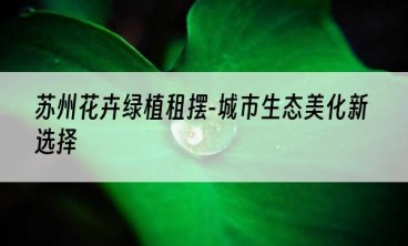 苏州花卉绿植租摆-城市生态美化新选择