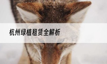 杭州绿植租赁全解析