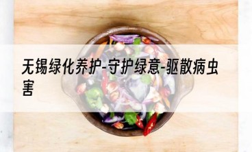 无锡绿化养护-守护绿意-驱散病虫害