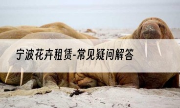宁波花卉租赁-常见疑问解答