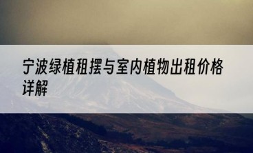 宁波绿植租摆与室内植物出租价格详解