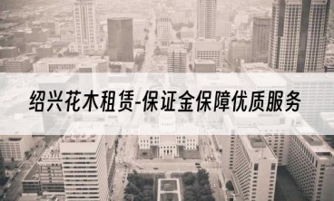 绍兴花木租赁-保证金保障优质服务