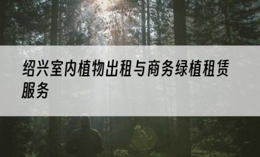 绍兴室内植物出租与商务绿植租赁服务