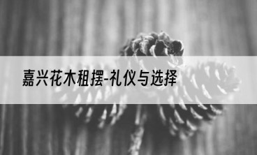 嘉兴花木租摆-礼仪与选择