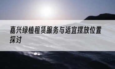 嘉兴绿植租赁服务与适宜摆放位置探讨