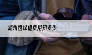 湖州租绿植费用知多少
