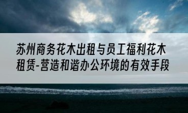 苏州商务花木出租与员工福利花木租赁-营造和谐办公环境的有效手段