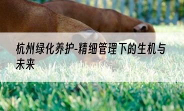 杭州绿化养护-精细管理下的生机与未来