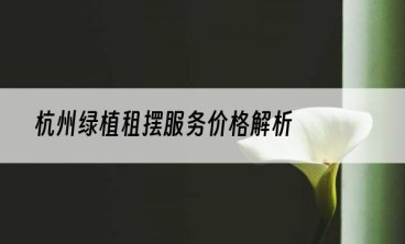 杭州绿植租摆服务价格解析