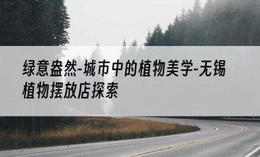 绿意盎然-城市中的植物美学-无锡植物摆放店探索