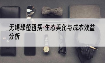 无锡绿植租摆-生态美化与成本效益分析