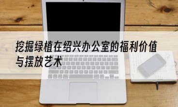 挖掘绿植在绍兴办公室的福利价值与摆放艺术