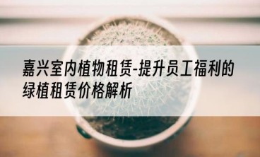 嘉兴室内植物租赁-提升员工福利的绿植租赁价格解析
